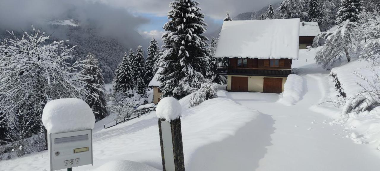 Chalet L'Alpe Saint-Pierre-d'Entremont  Esterno foto